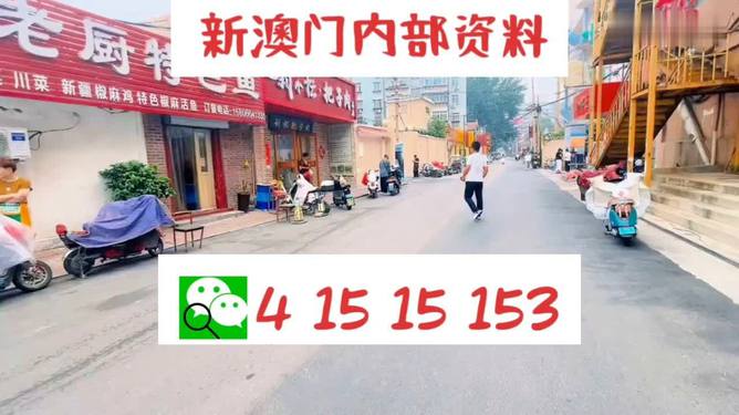 2024澳门天天开好彩大全19期;精选解析解释落实