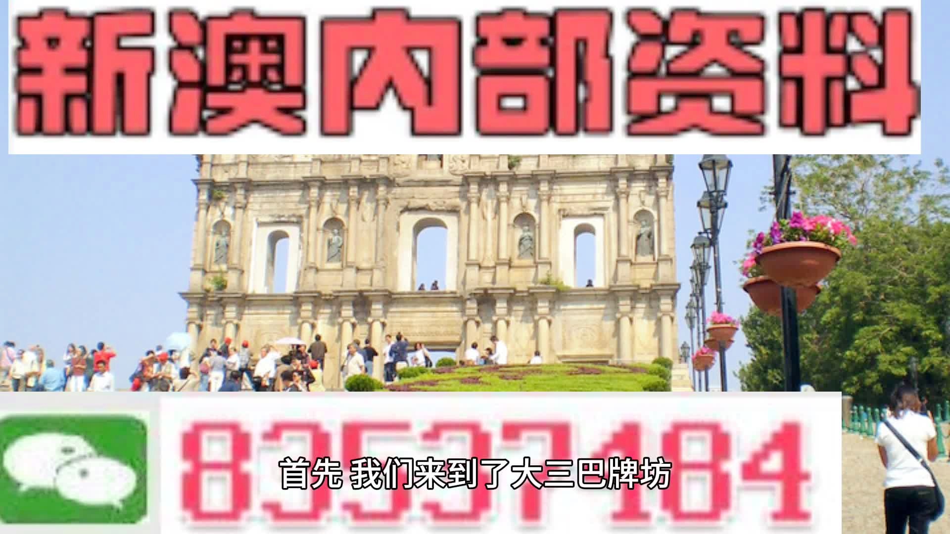 新澳2024正版资料免费公开|精选资料解释大全